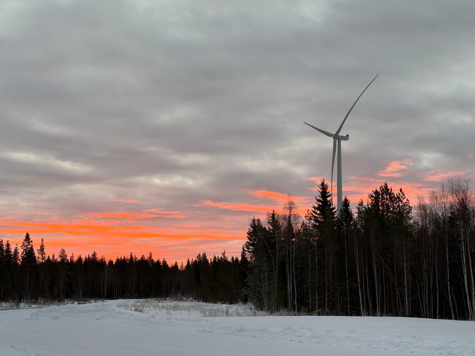 WhatsApp Image 2025-07-03 at 13.20.25