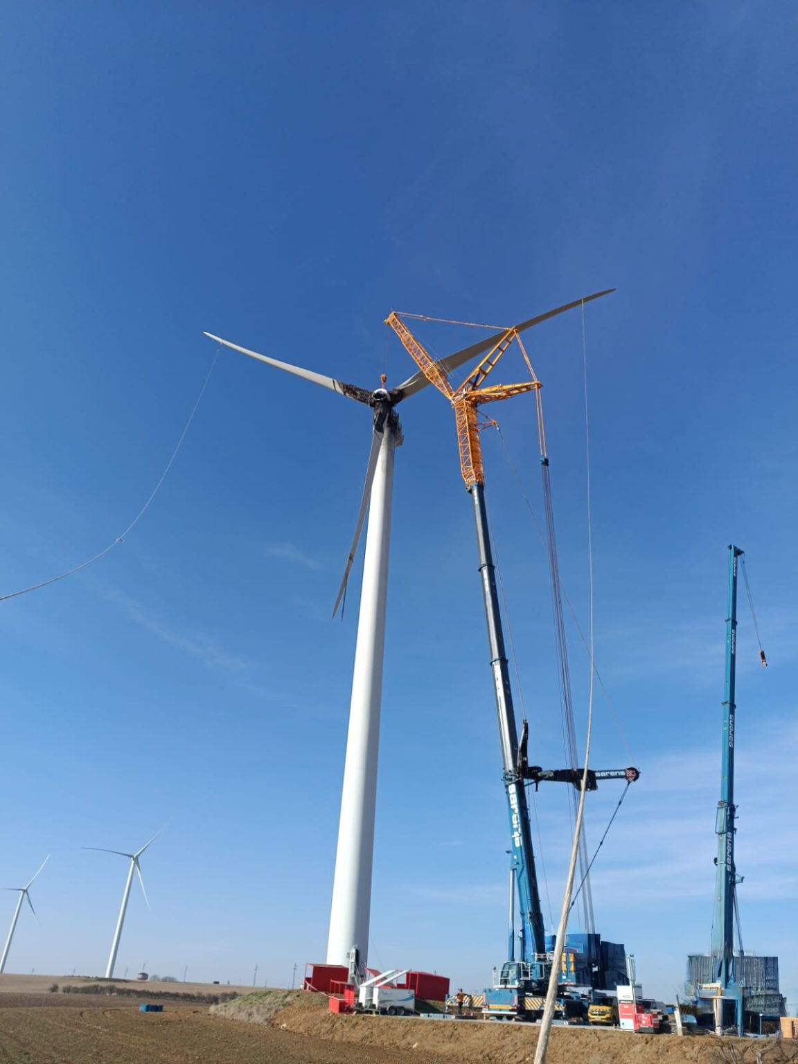 WhatsApp Image 2025-09-08 at 13.35.18